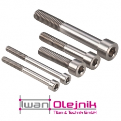 Cylinderhead screw titanium Gr.2, 3.7035 DIN 912 M6x40